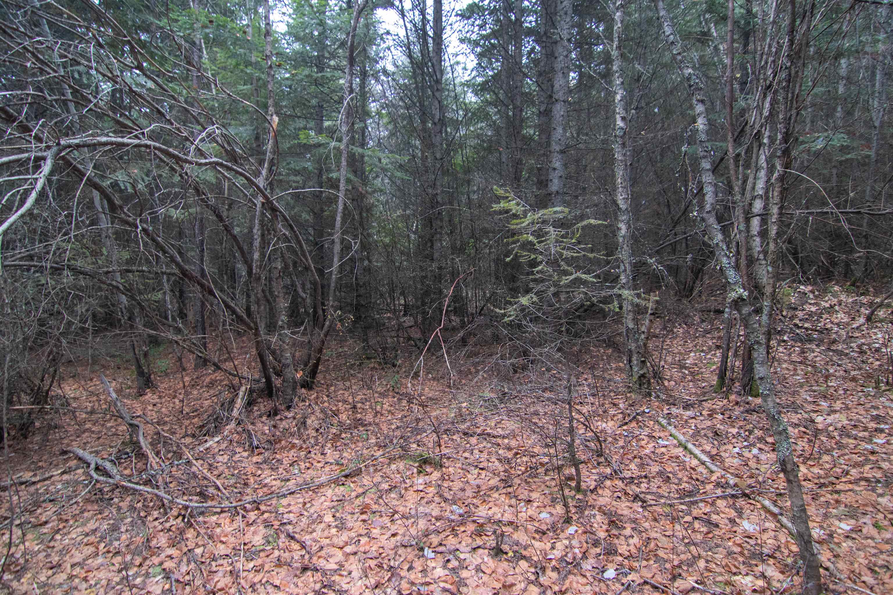 Nka Thompson Road Elk, WA 99009 - Photo 19 of 19 Gallery Image 19