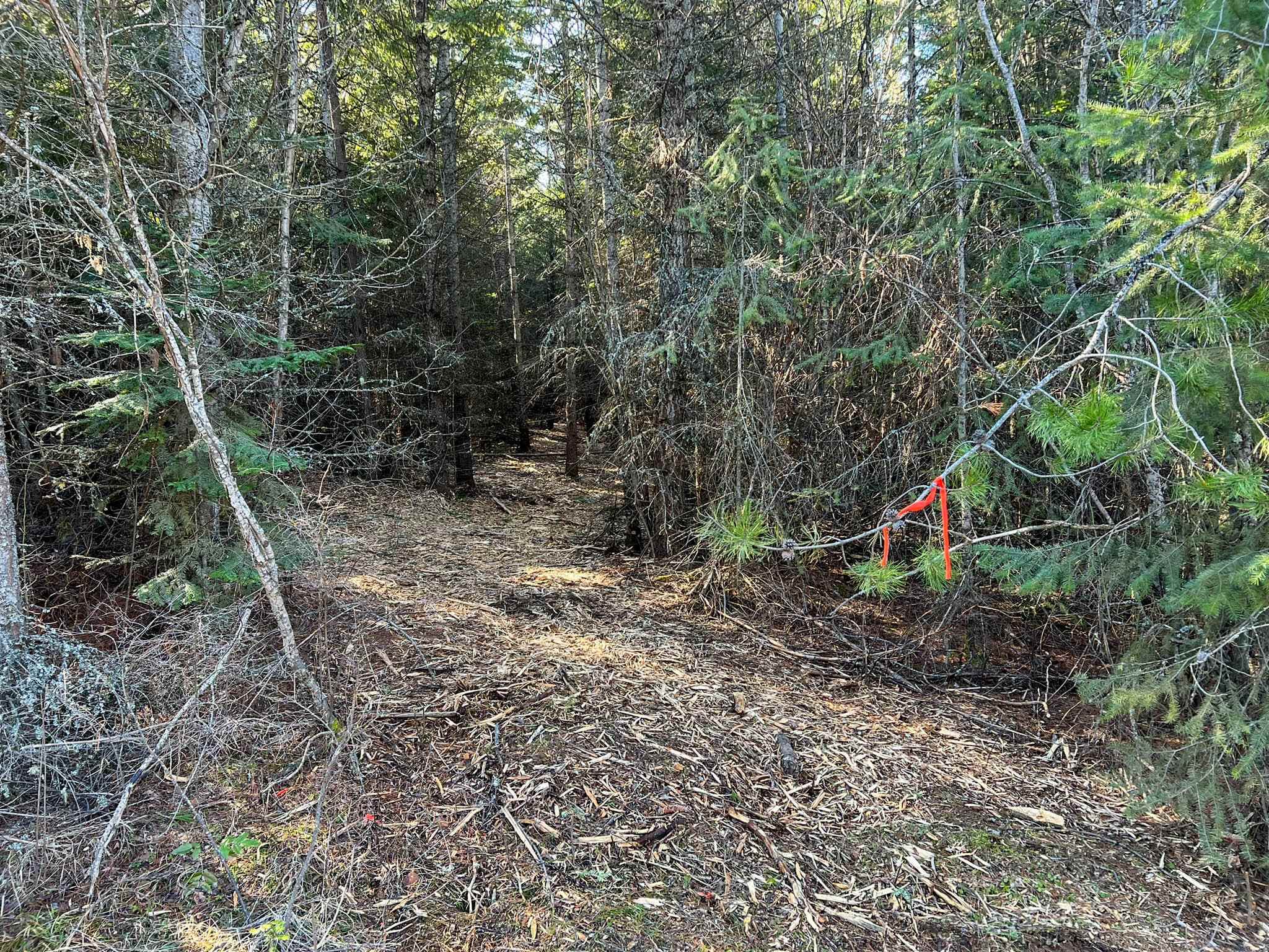 Nka Thompson Road Elk, WA 99009 - Photo 4 of 19 Gallery Image 4
