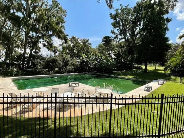 a view of a street with a large trees