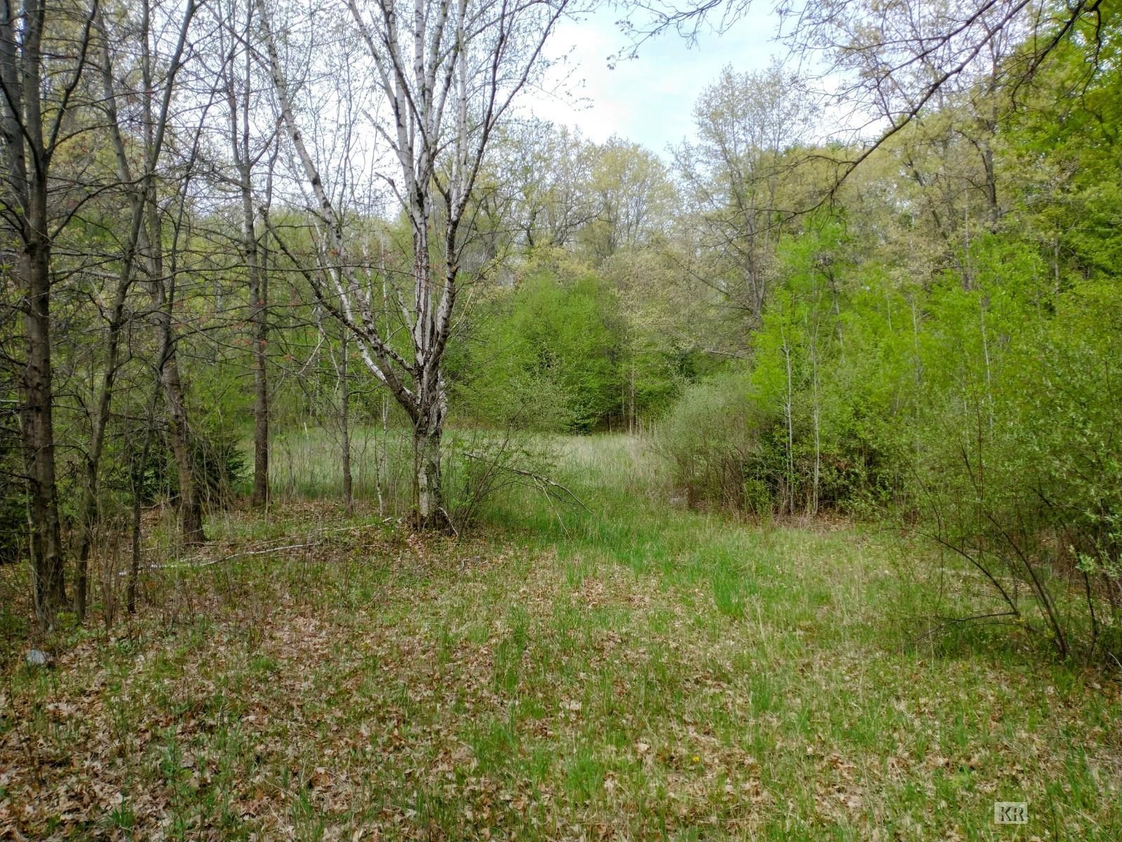 12451 Maple Valley Road Gladwin, MI 48624 - Photo 55 of 95