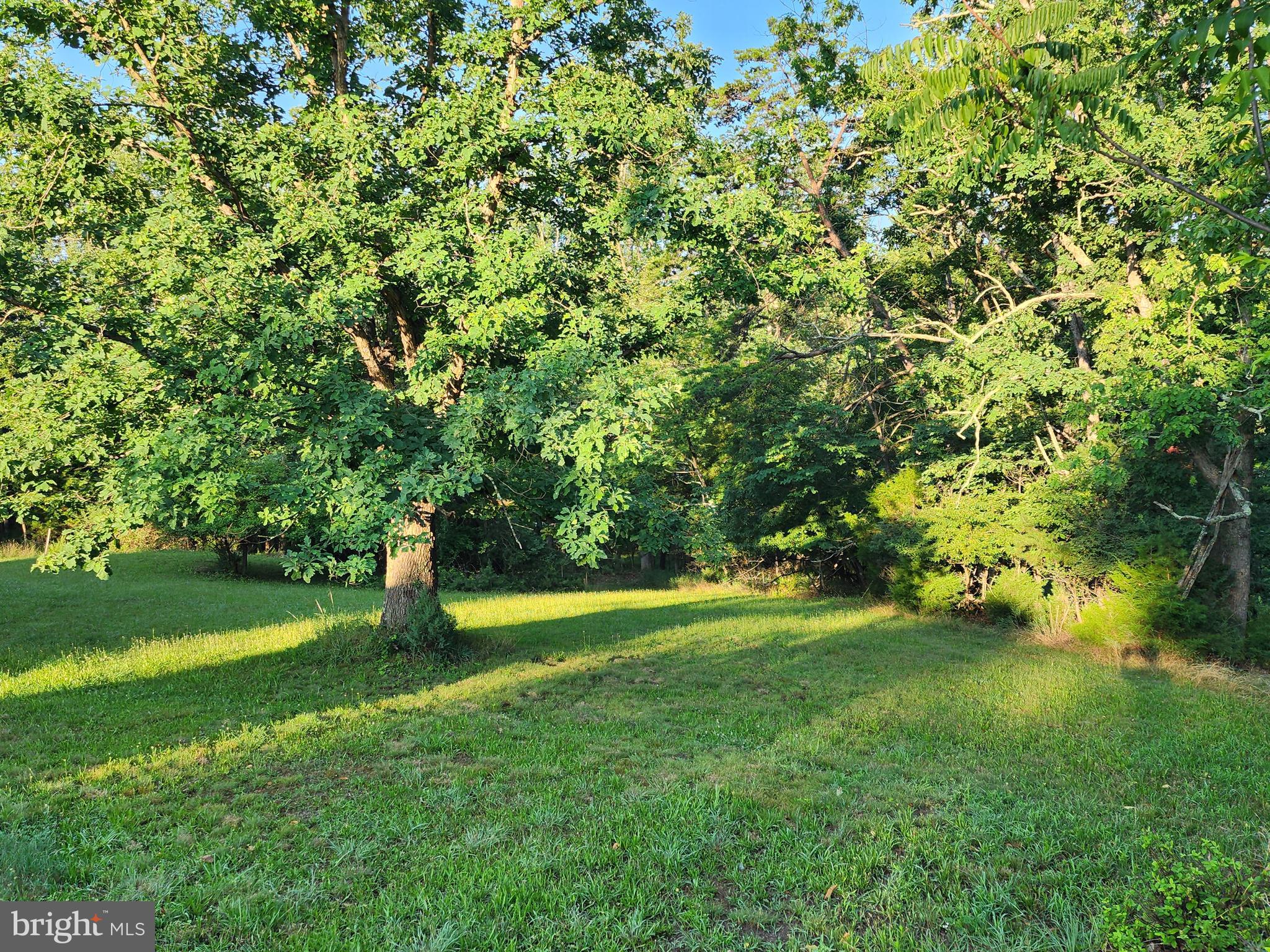 4549 Georges Run Road Ridgeley, WV 26753 - Photo 22 of 56