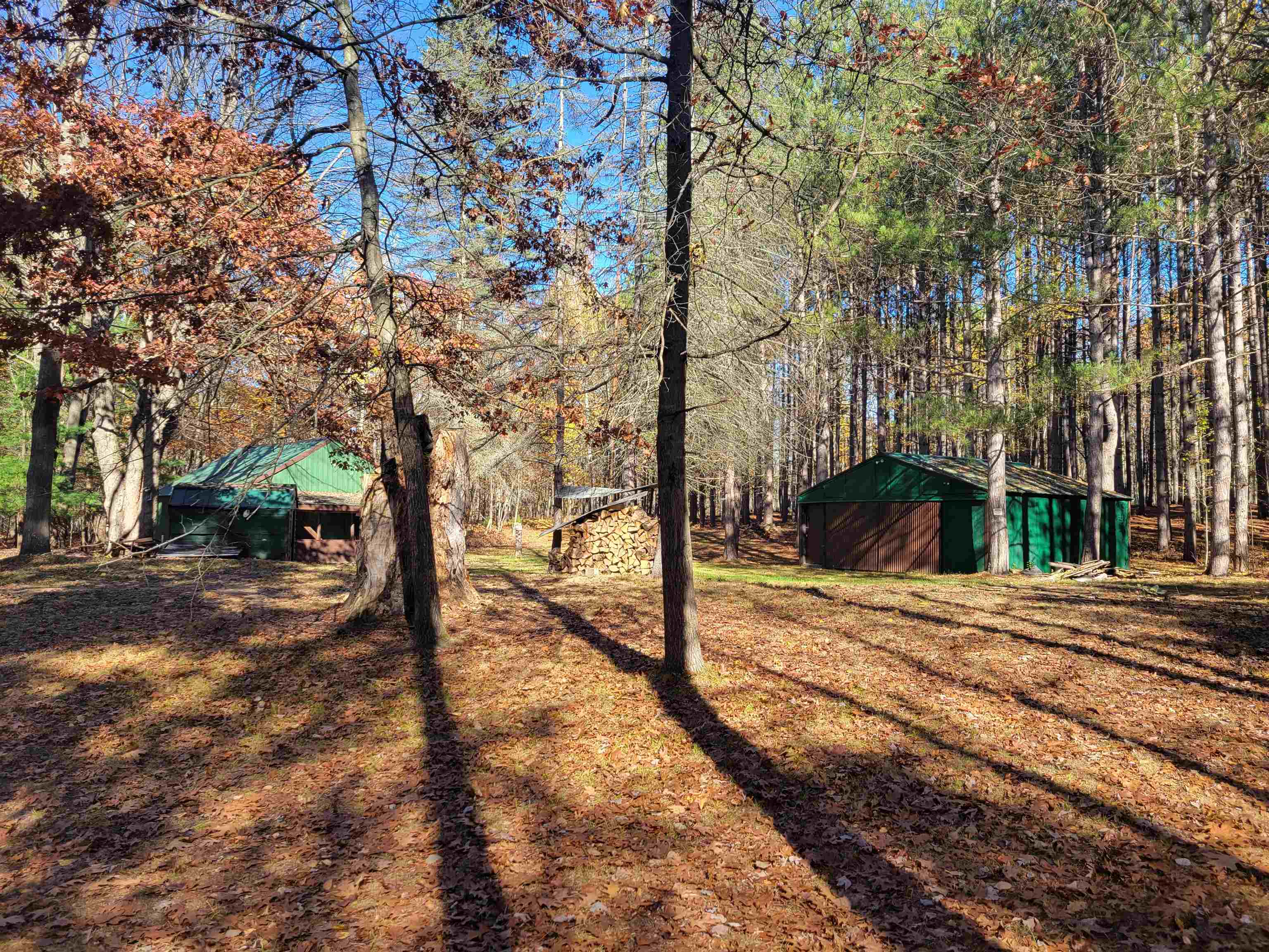 3385 Jones Road Rhodes, MI 48652 - Photo 1 of 56