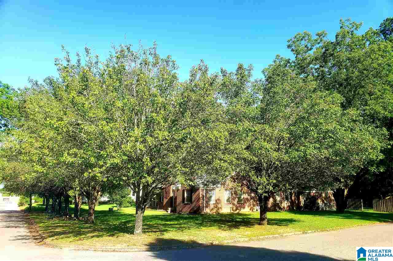 1565 19th Avenue Calera, AL 35040 - Photo 3 of 50