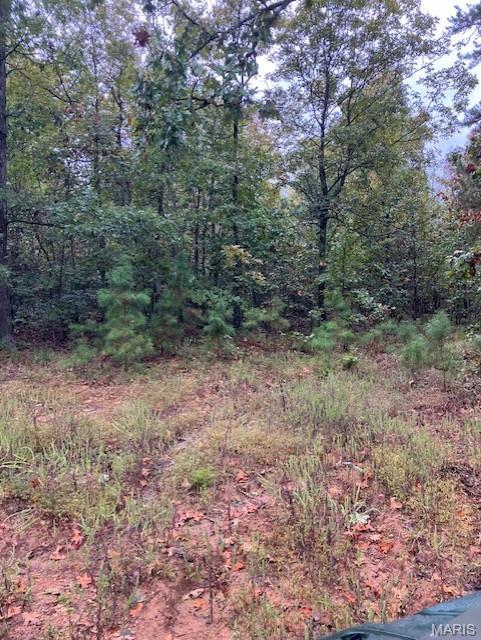 156 Madison Cr Fredericktown, MO 63645 - Photo 4 of 8