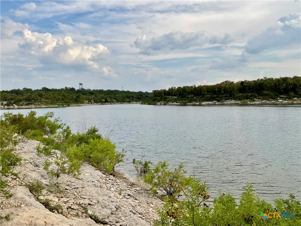 1 Timberline Drive Belton, TX 76513 - Photo 43 of 46 a view of a lake from a yard