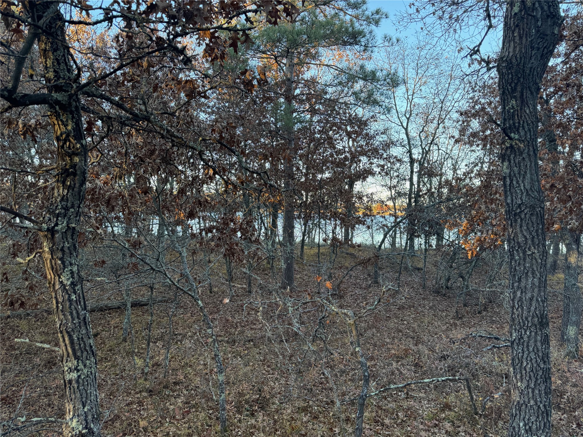 Lot 3 Big Sand Road Minong, WI 54859 - Photo 11 of 35