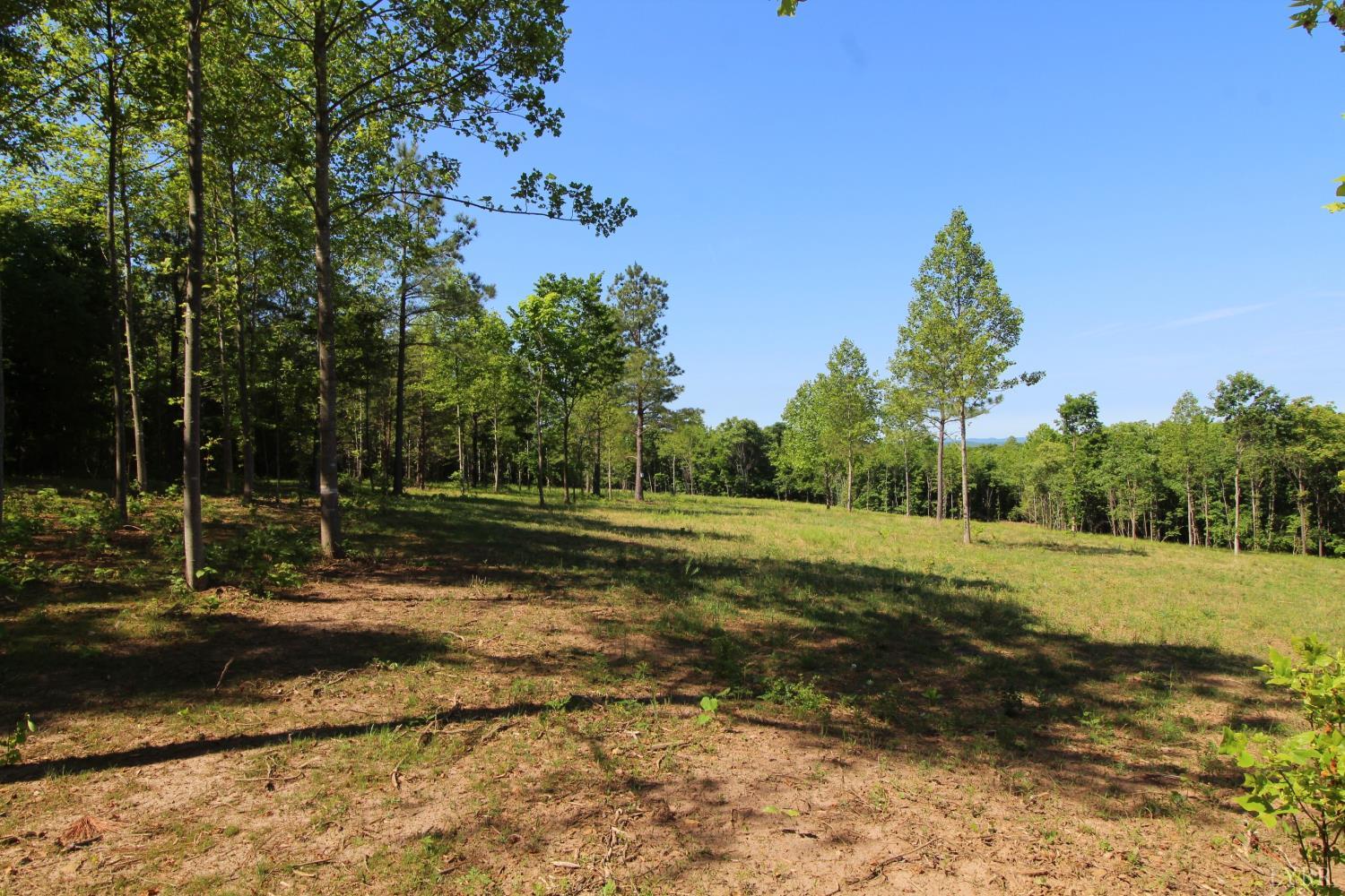 0 Tower Hill Road Appomattox, VA 24522 - Photo 2 of 11