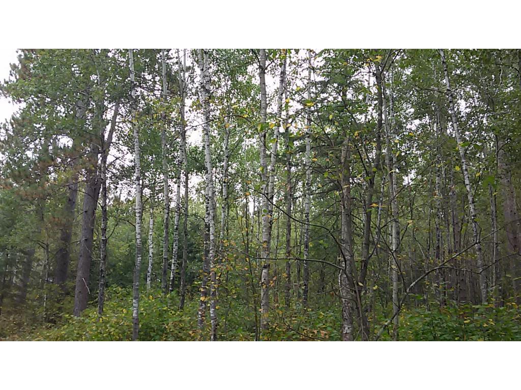 Lot 13 Cassandra Road Hayward, WI 54843 - Photo 1 of 1