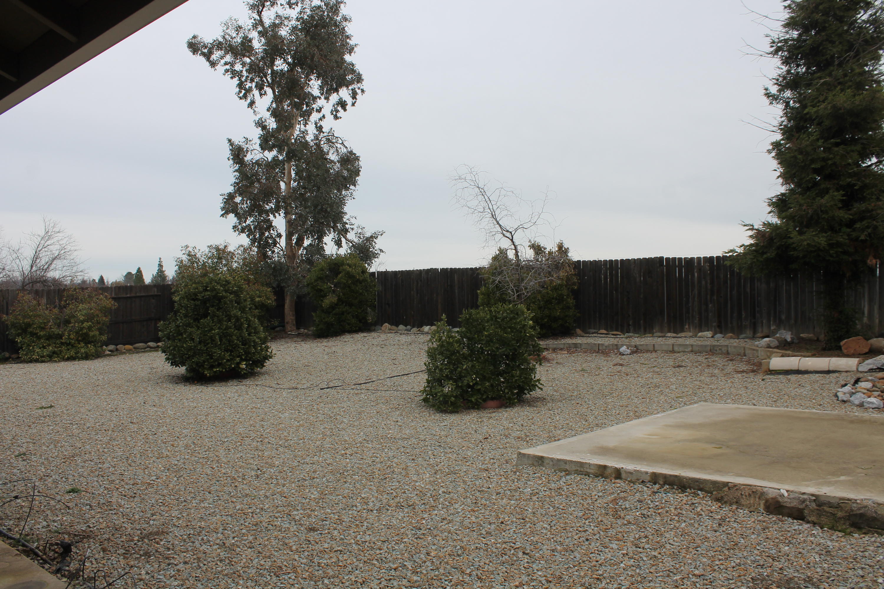 1975 Airstrip Road Redding, CA 96003 - Photo 17 of 20 2020-01-19 15.59.03