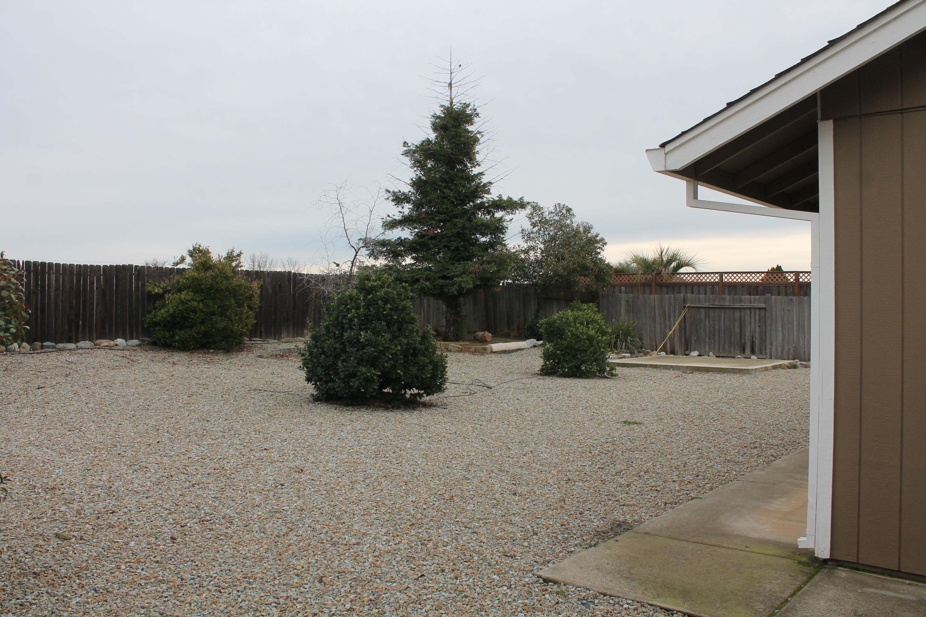 1975 Airstrip Road Redding, CA 96003 - Photo 20 of 20 2020-01-19 15.59.35