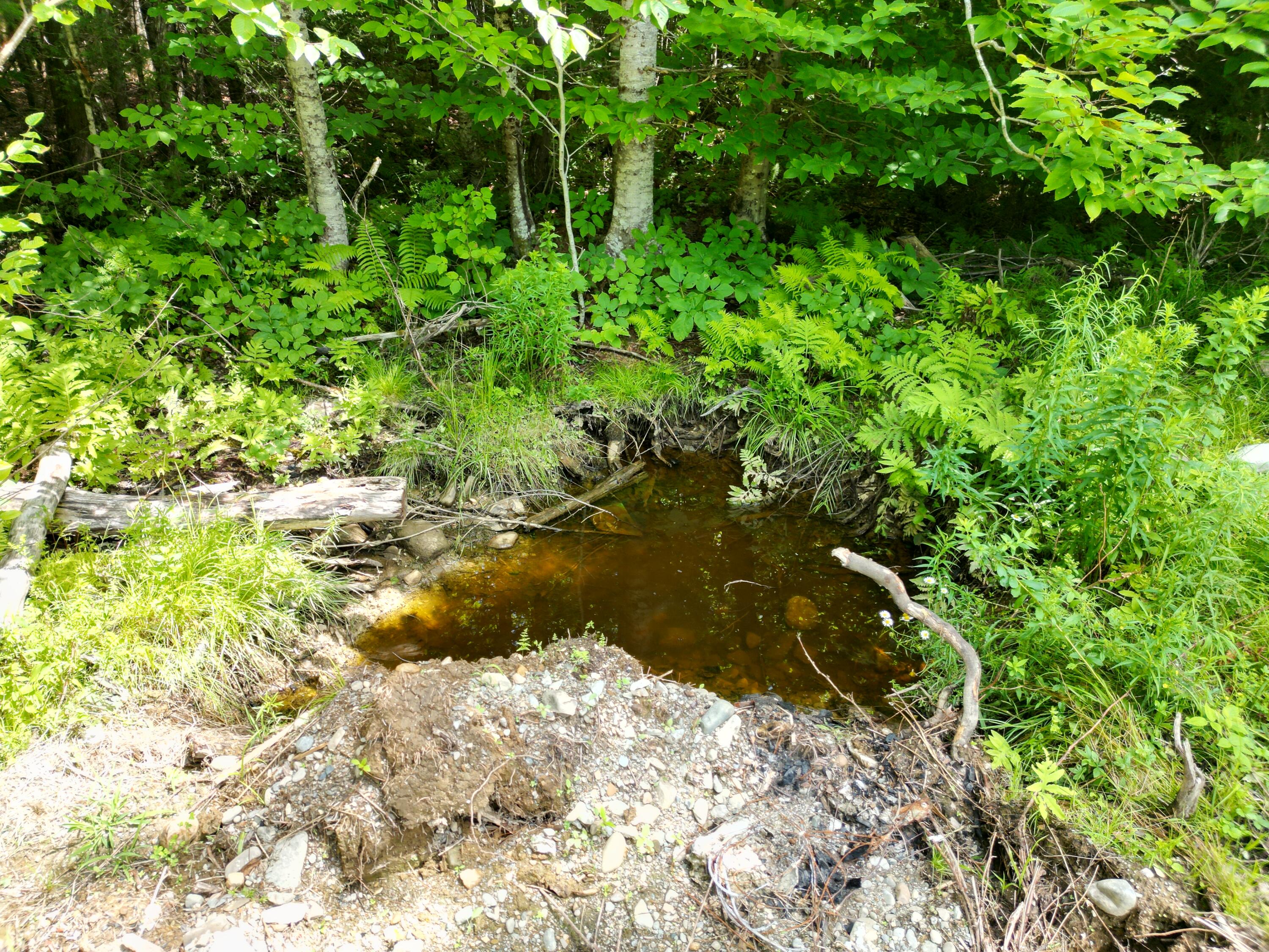 Lot 1-1 Off Ghost Road Springfield, ME 04487 - Photo 3 of 24 DJI_0997