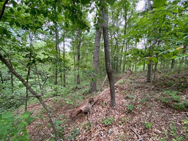 0 Eagle View Cove Big Sandy, TN 38221 - Photo 5 of 11