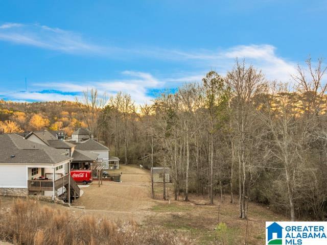 205 Macdonald Court Springville, AL 35146 - Photo 59 of 69