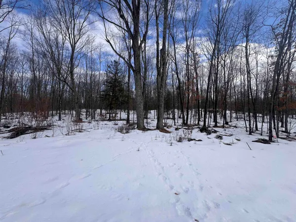 $32,900 | Rhett Lane, Unit 12, Wausaukee, WI 54177