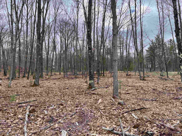 $32,900 | Rhett Lane, Unit 12, Wausaukee, WI 54177