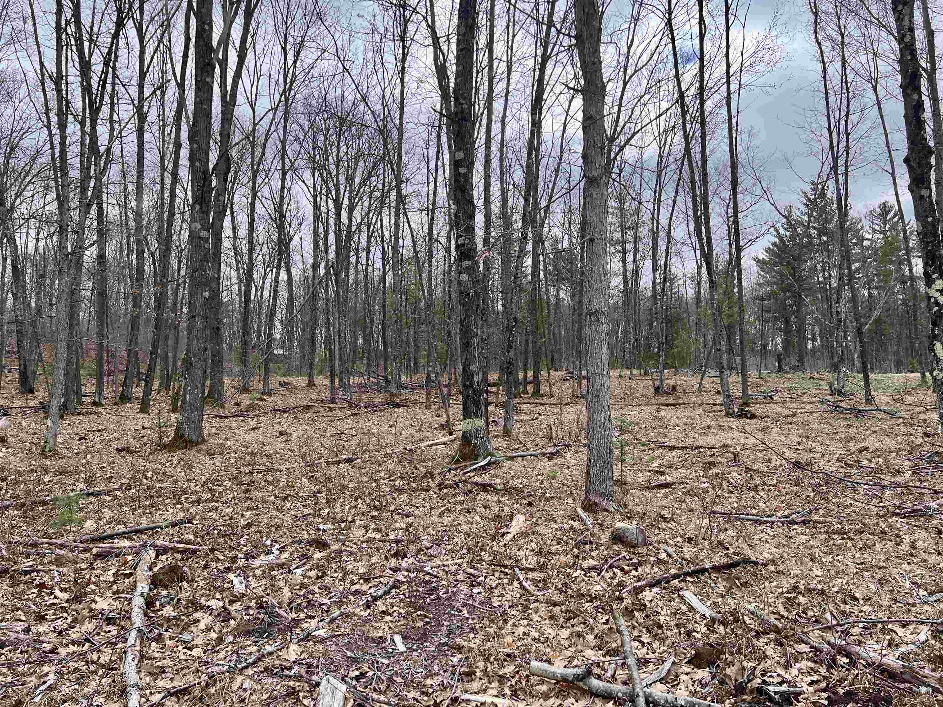 Rhett Lane, Unit 12 Wausaukee, WI 54177 - Photo 3 of 4