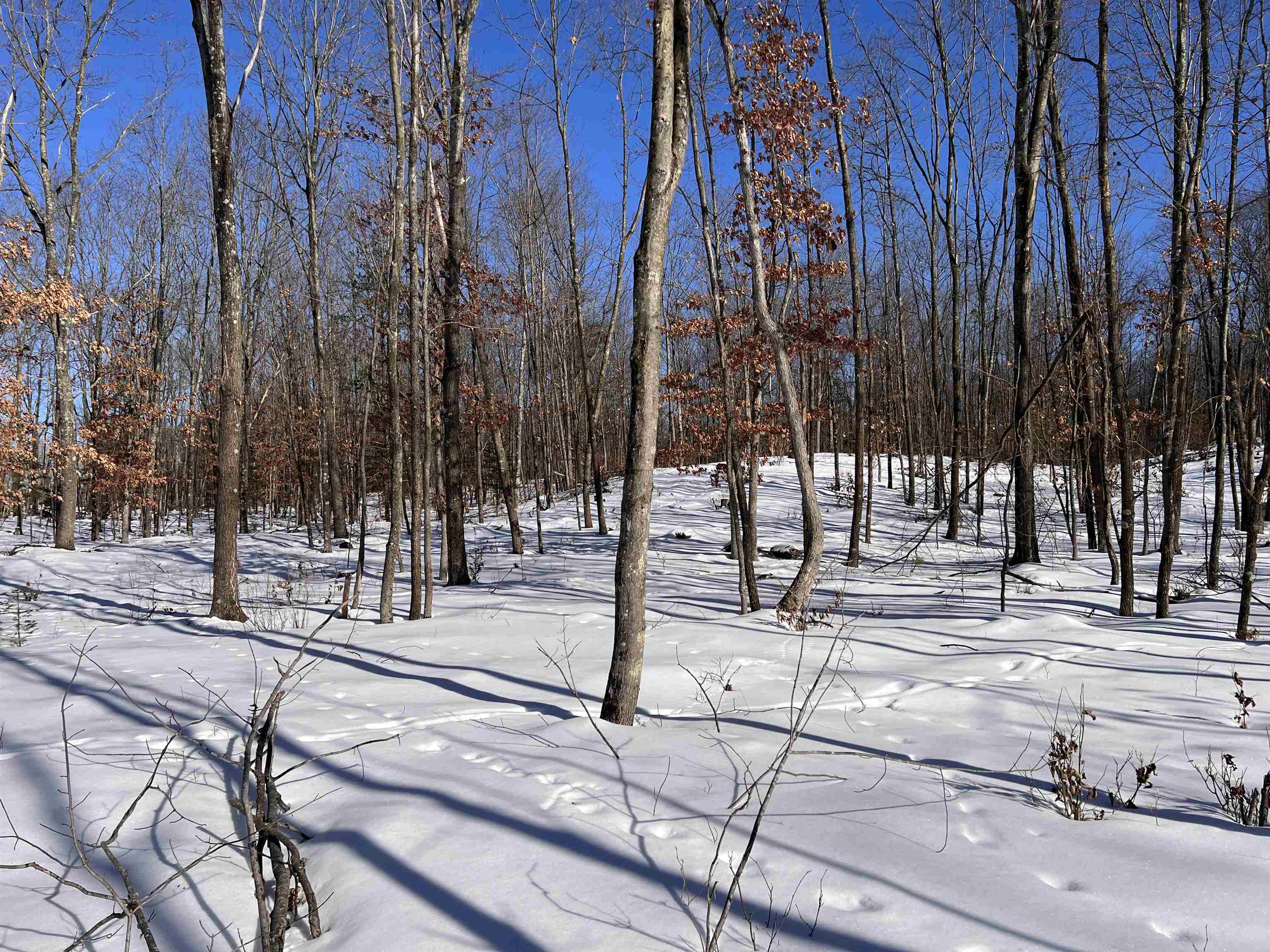 Rhett Lane, Unit 12 Wausaukee, WI 54177 - Photo 3 of 4