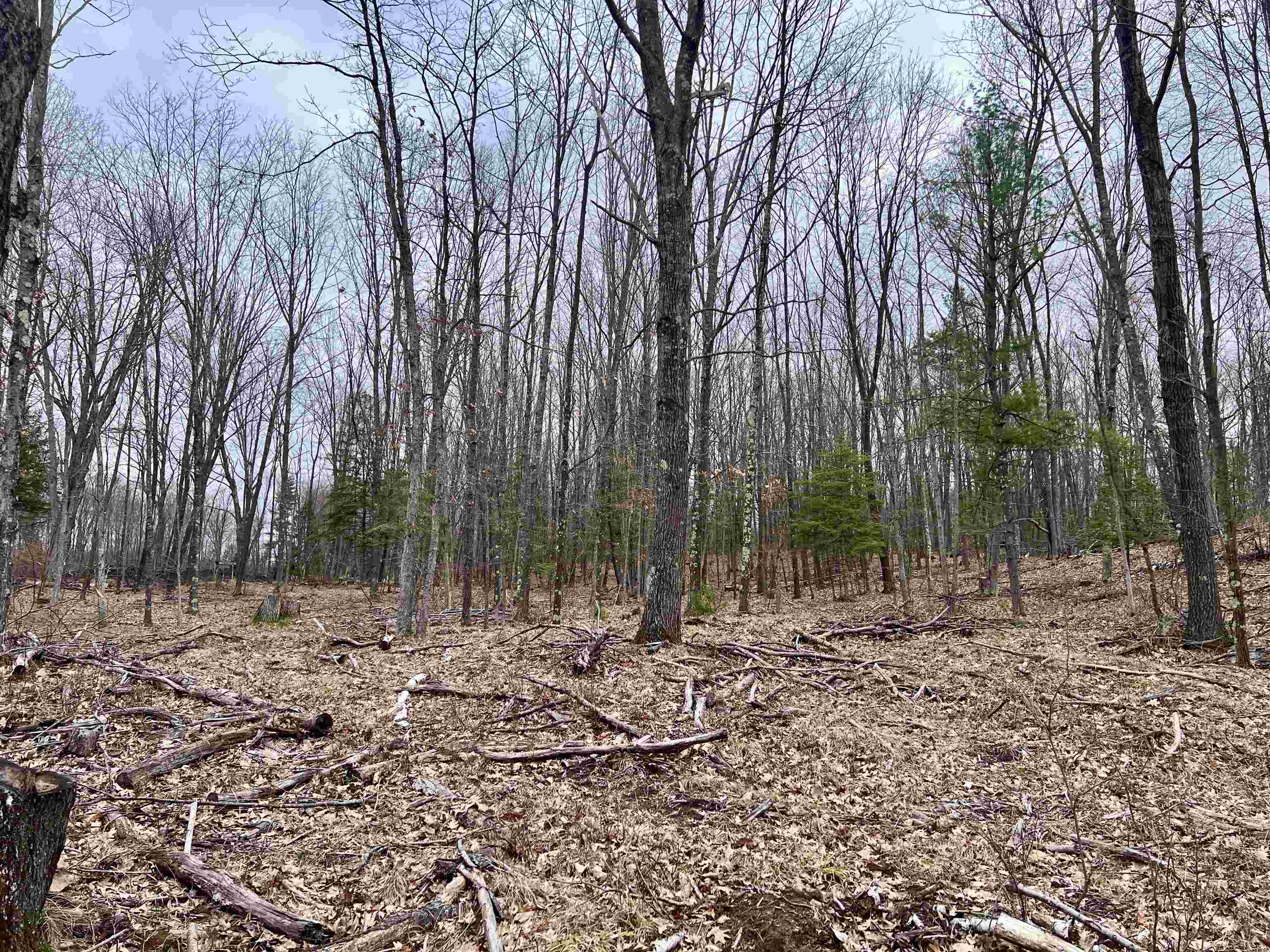 Rhett Lane, Unit 12 Wausaukee, WI 54177 - Photo 4 of 4