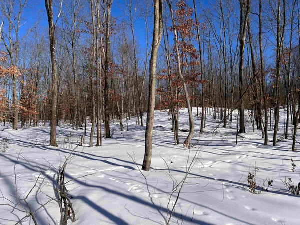 $32,900 | Rhett Lane, Unit 12, Wausaukee, WI 54177