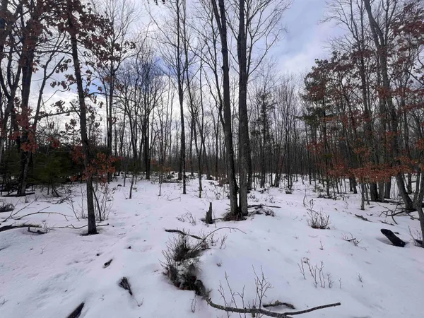 $32,900 | Rhett Lane, Unit 12, Wausaukee, WI 54177