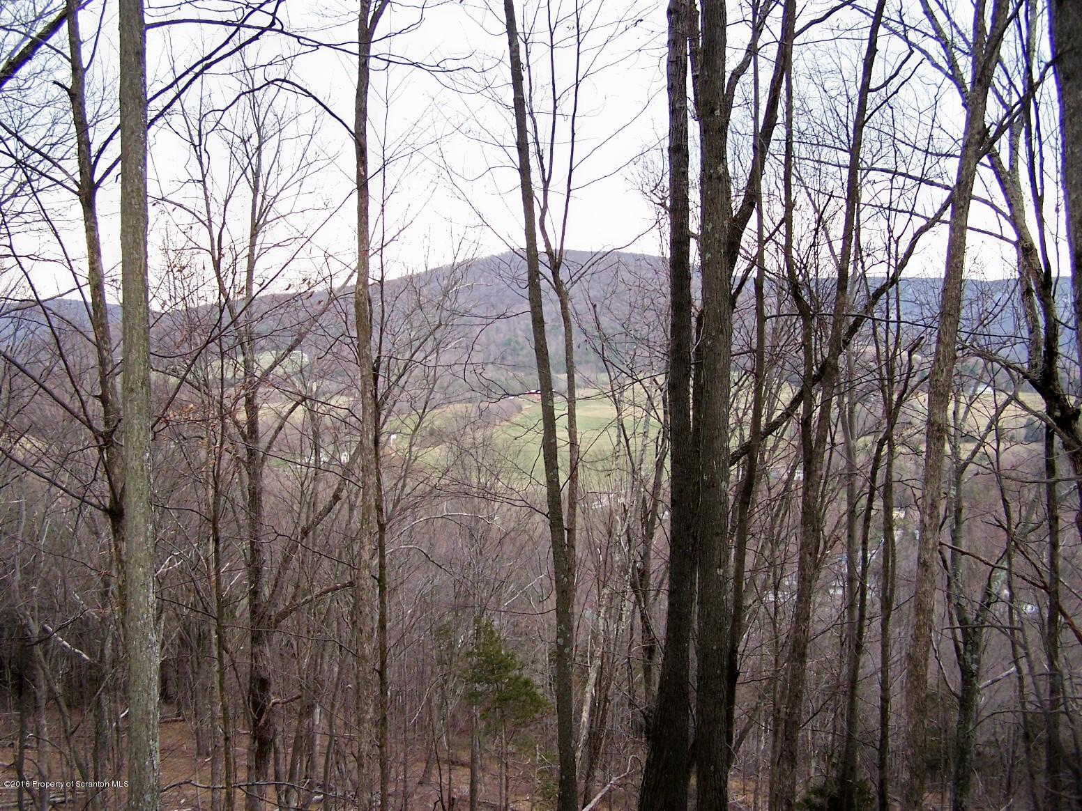 5345 Windy Valley Road Mehoopany, PA 18629 - Photo 44 of 52 Gallery Image 44