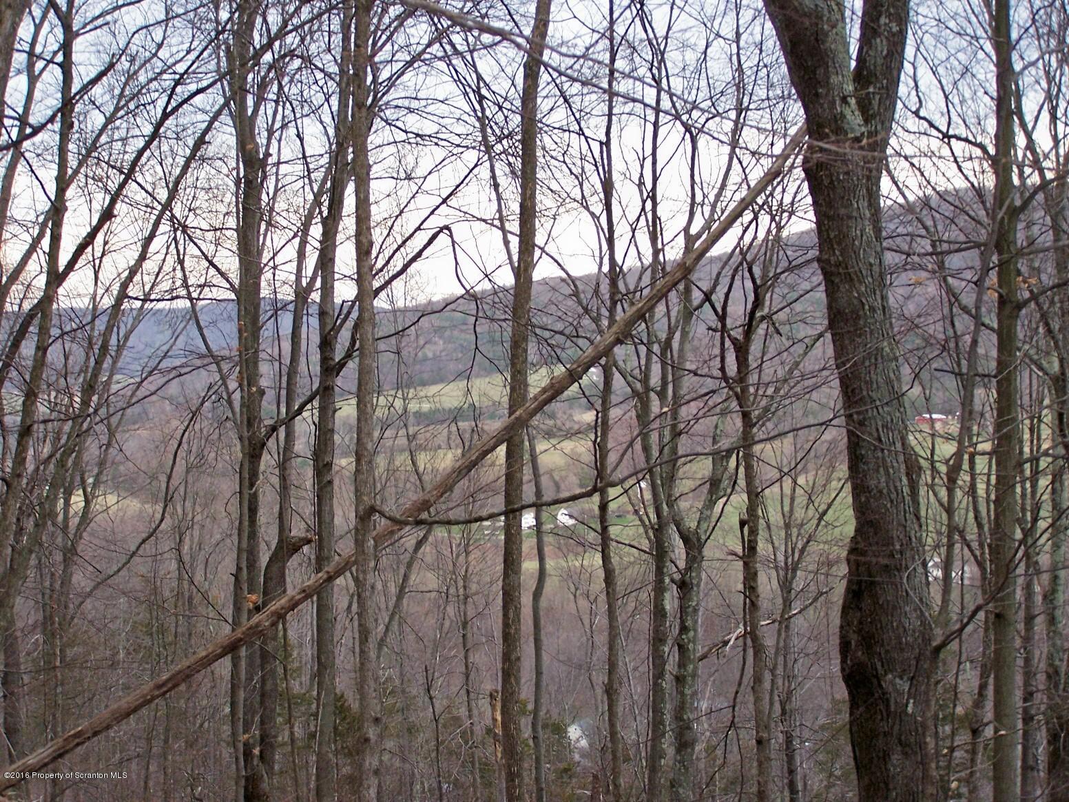 5345 Windy Valley Road Mehoopany, PA 18629 - Photo 45 of 52 Gallery Image 45