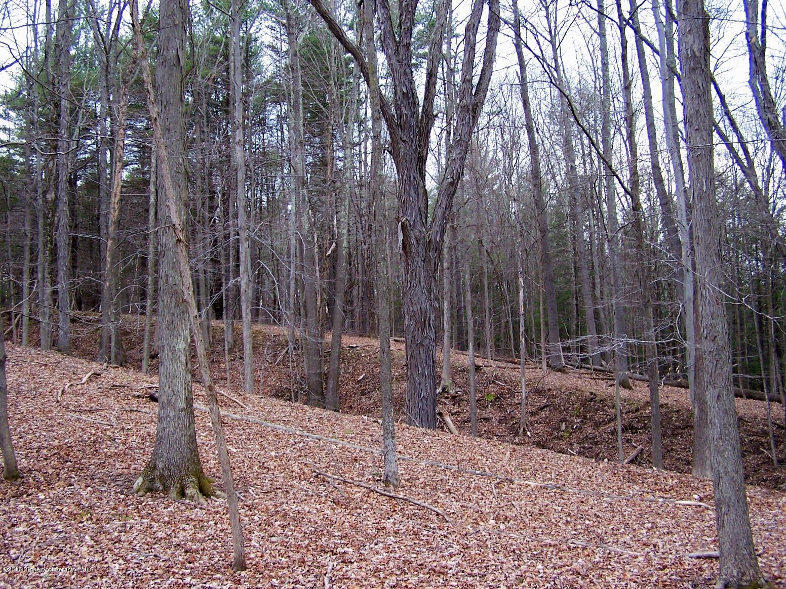 5345 Windy Valley Road Mehoopany, PA 18629 - Photo 46 of 52 Gallery Image 46