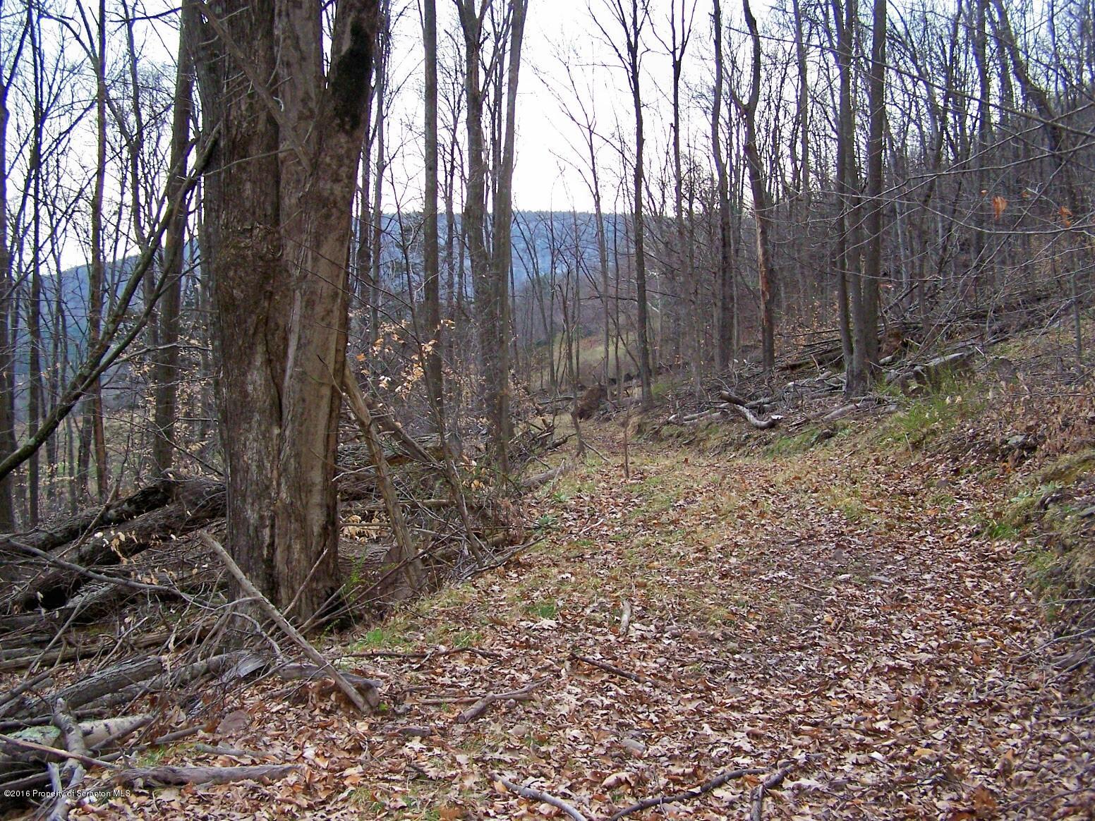 5345 Windy Valley Road Mehoopany, PA 18629 - Photo 52 of 52 Gallery Image 52