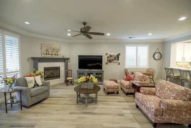 a living room with furniture and a potted plant