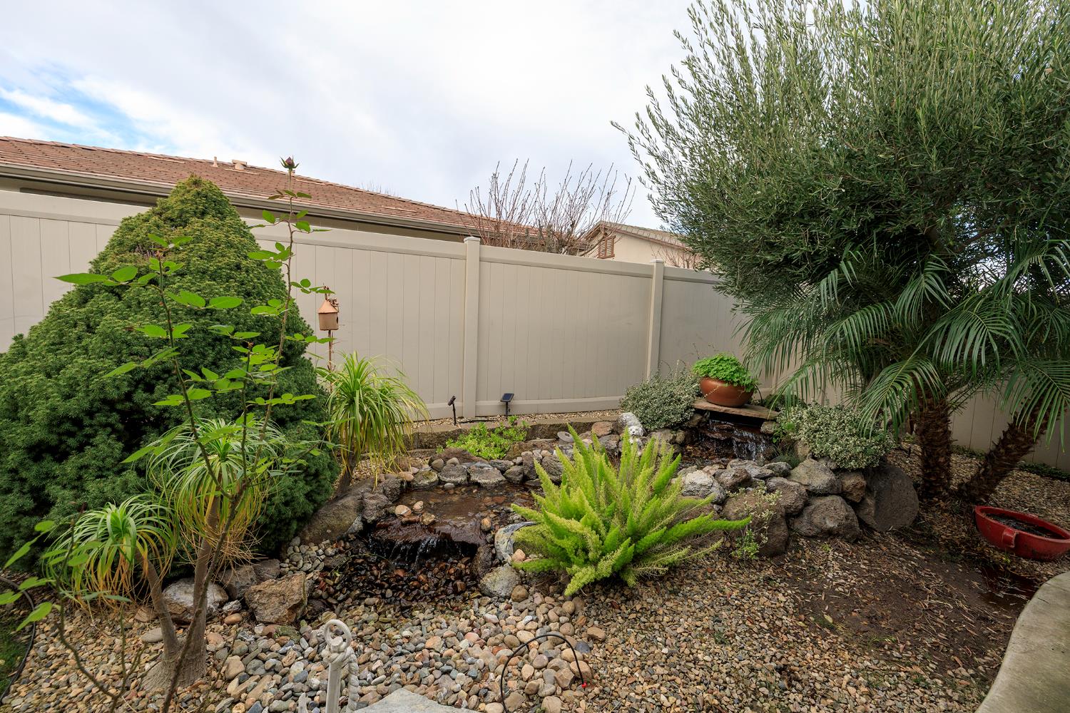 1771 Fox Trot Way Manteca, CA 95336 - Photo 47 of 54 a backyard with potted plants and a large tree