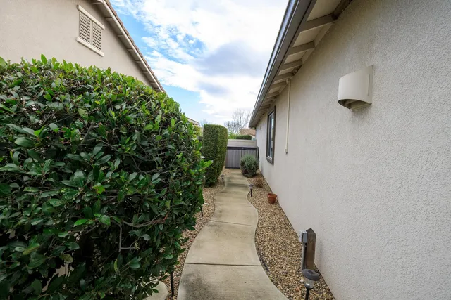 a view of a garden with pathway