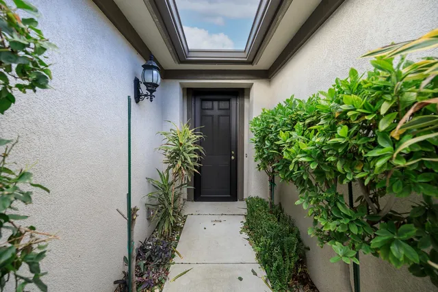 a potted plant in front of a door