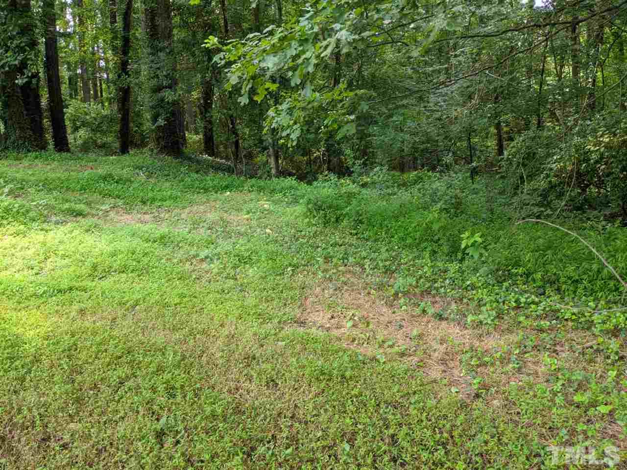 0 Valley Road Garner, NC 27529 - Photo 3 of 3 Gallery Image 3
