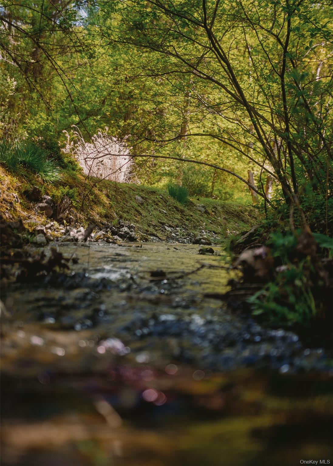 320 Long Hill Road Hopewell Junction, NY 12533 - Photo 23 of 42 a view of a yard