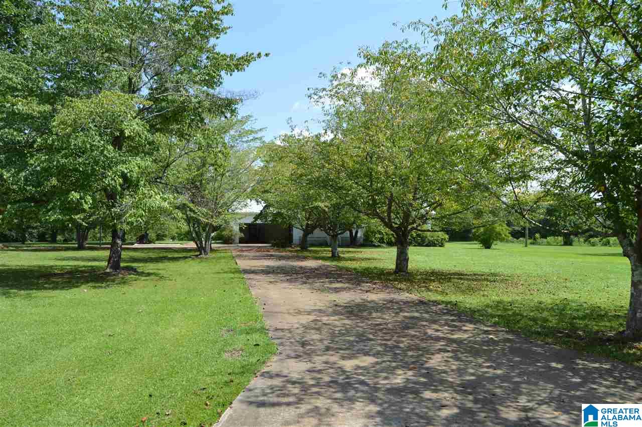 843 Mountain View Road Cordova, AL 35550 - Photo 3 of 37