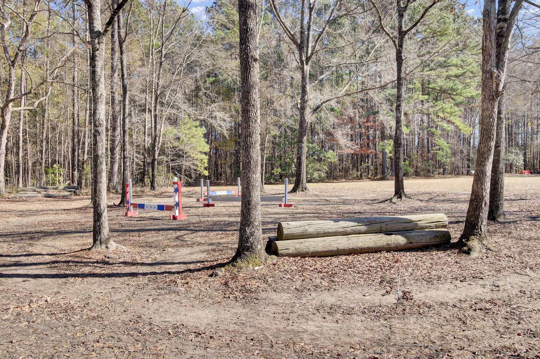 369 Groomsville Road Moncks Corner, SC 29461 - Photo 57 of 82 Large Arena