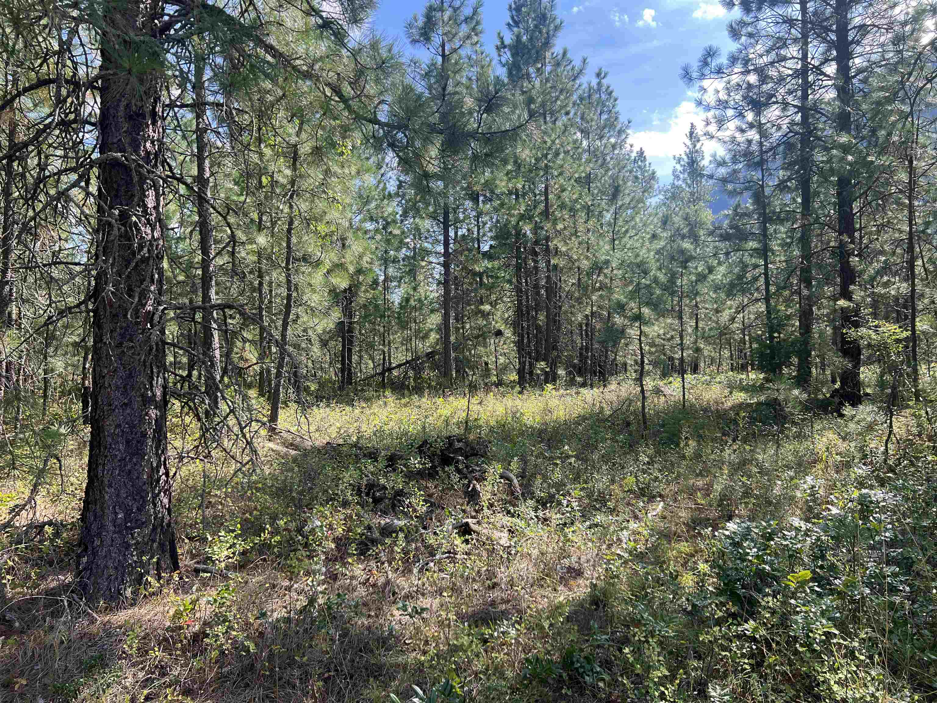 47 Steacker Road Kettle Falls, WA 99141 - Photo 35 of 48