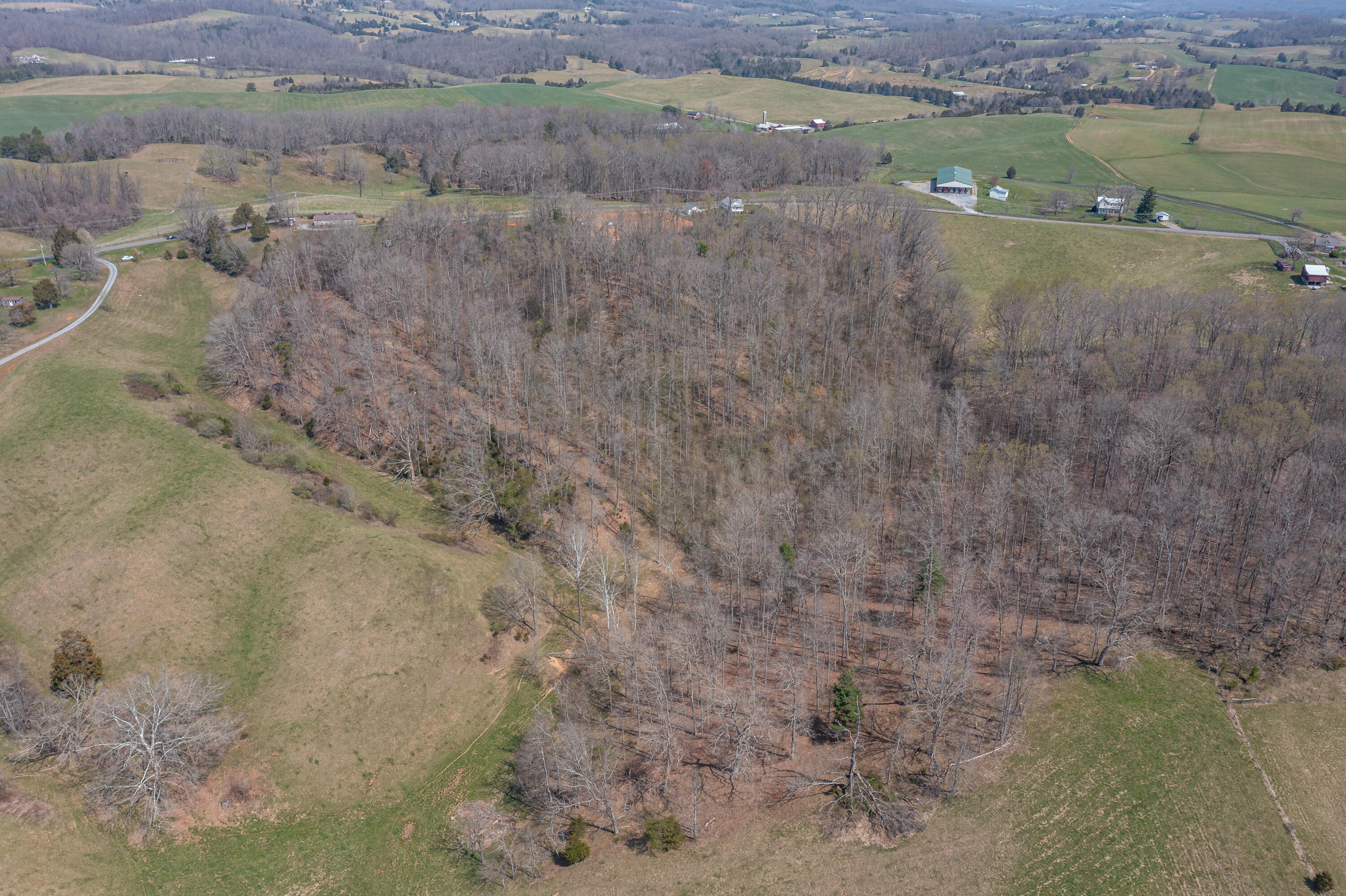 0 Wheatland Road Buchanan, VA 24066 - Photo 3 of 3 Aerial