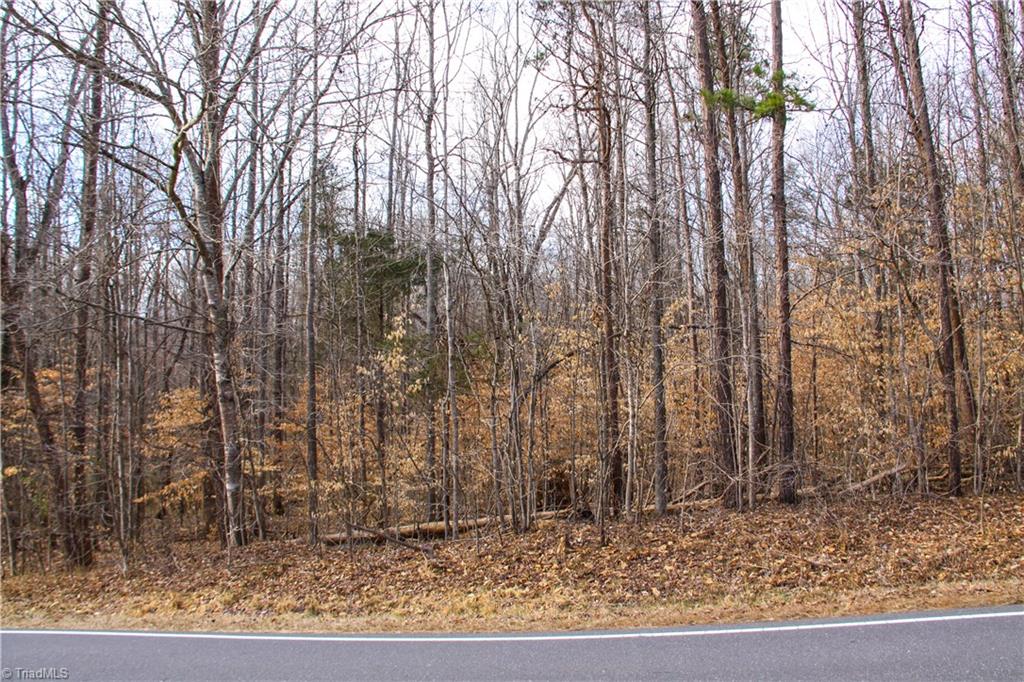 5258 Dock Davis Road Clemmons, NC 27012 - Photo 13 of 22 Gallery Image 13