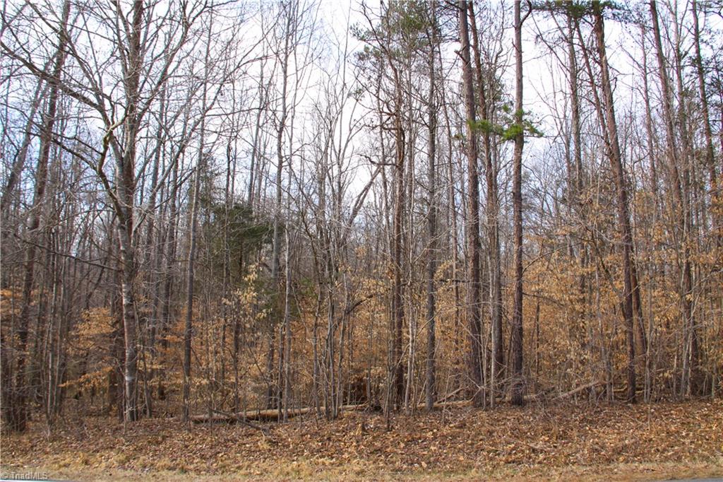 5258 Dock Davis Road Clemmons, NC 27012 - Photo 14 of 22 Gallery Image 14