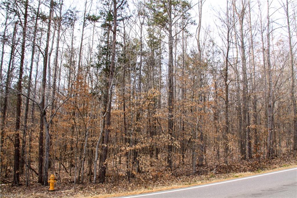 5258 Dock Davis Road Clemmons, NC 27012 - Photo 15 of 22 Gallery Image 15