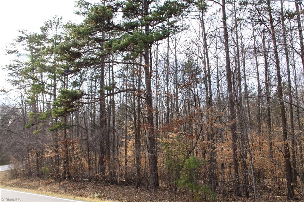 5258 Dock Davis Road Clemmons, NC 27012 - Photo 16 of 22 Gallery Image 16