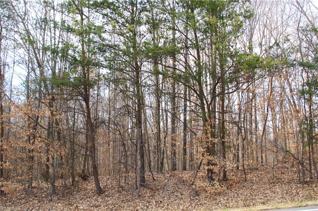 5258 Dock Davis Road Clemmons, NC 27012 - Photo 18 of 22 Gallery Image 18