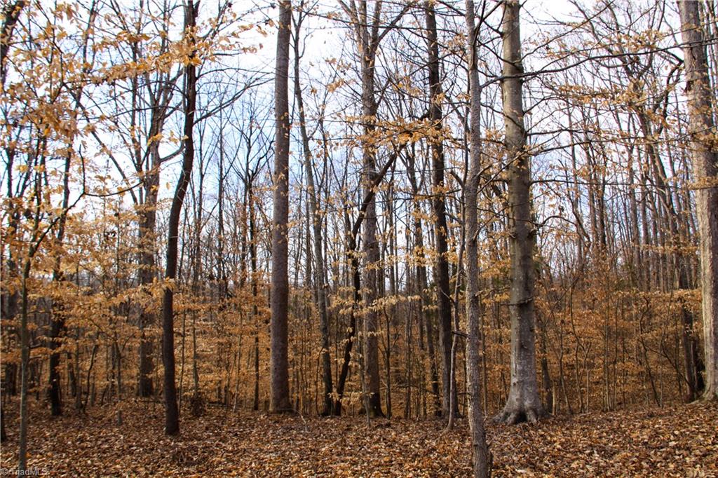 5258 Dock Davis Road Clemmons, NC 27012 - Photo 22 of 22 Gallery Image 22