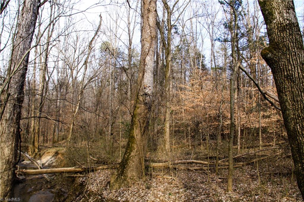 5258 Dock Davis Road Clemmons, NC 27012 - Photo 5 of 22 Gallery Image 5