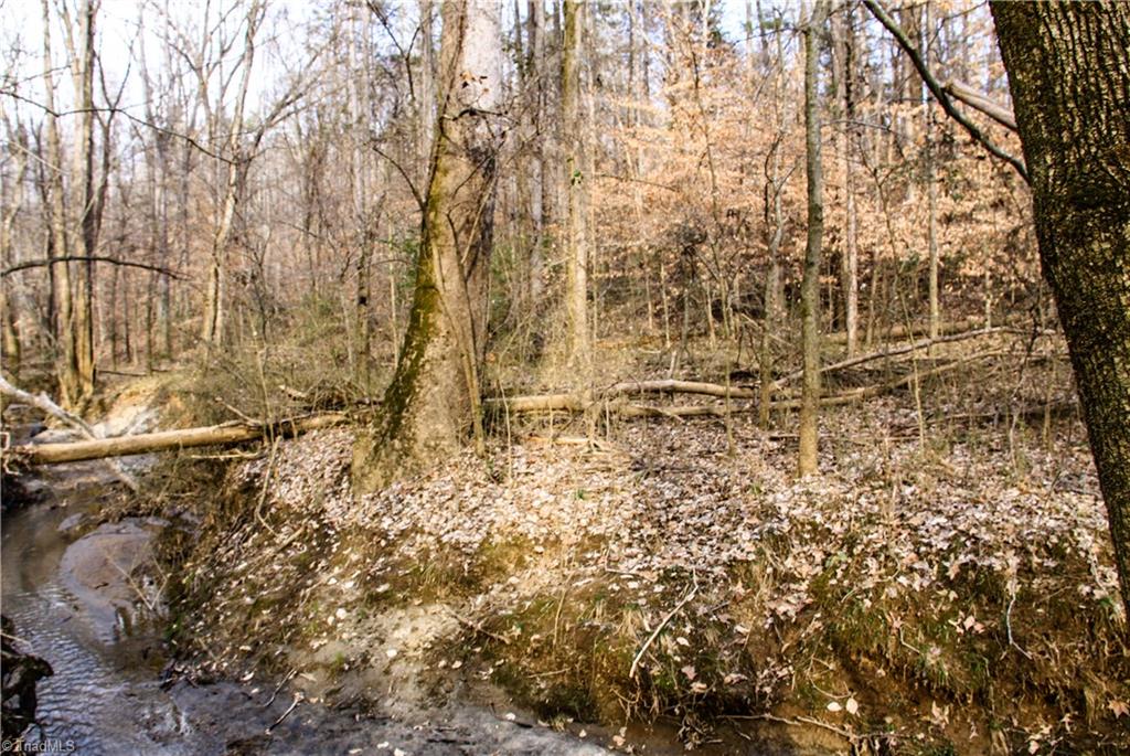 5258 Dock Davis Road Clemmons, NC 27012 - Photo 6 of 22 Gallery Image 6