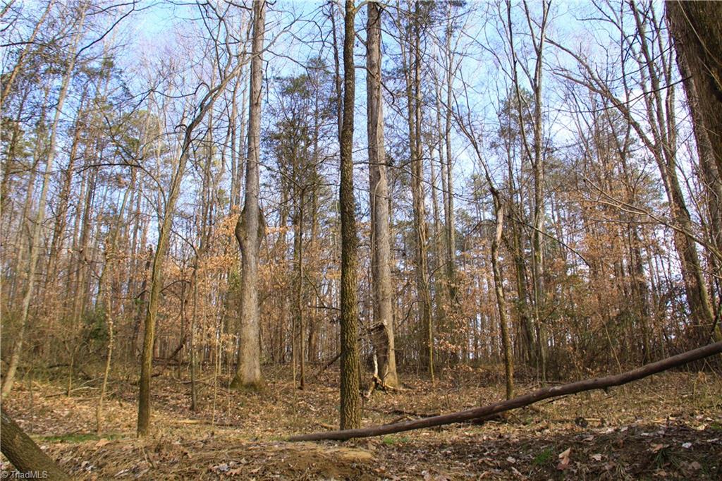 5258 Dock Davis Road Clemmons, NC 27012 - Photo 8 of 22 Gallery Image 8