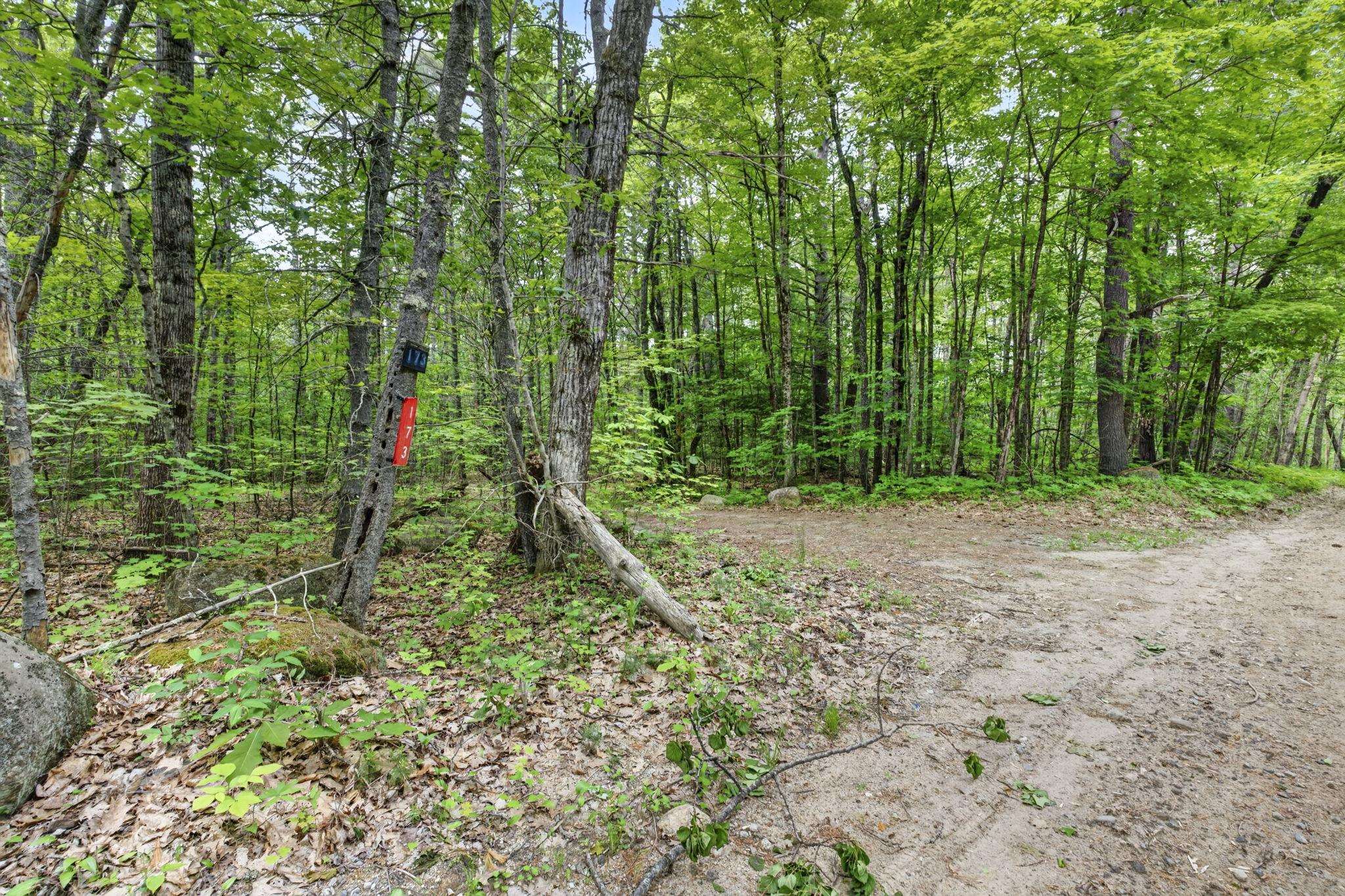173 N Road Deering, NH 03244 - Photo 38 of 58