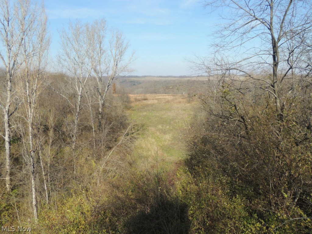 Hill Road Flushing, OH 43977 - Photo 4 of 23 Gallery Image 4