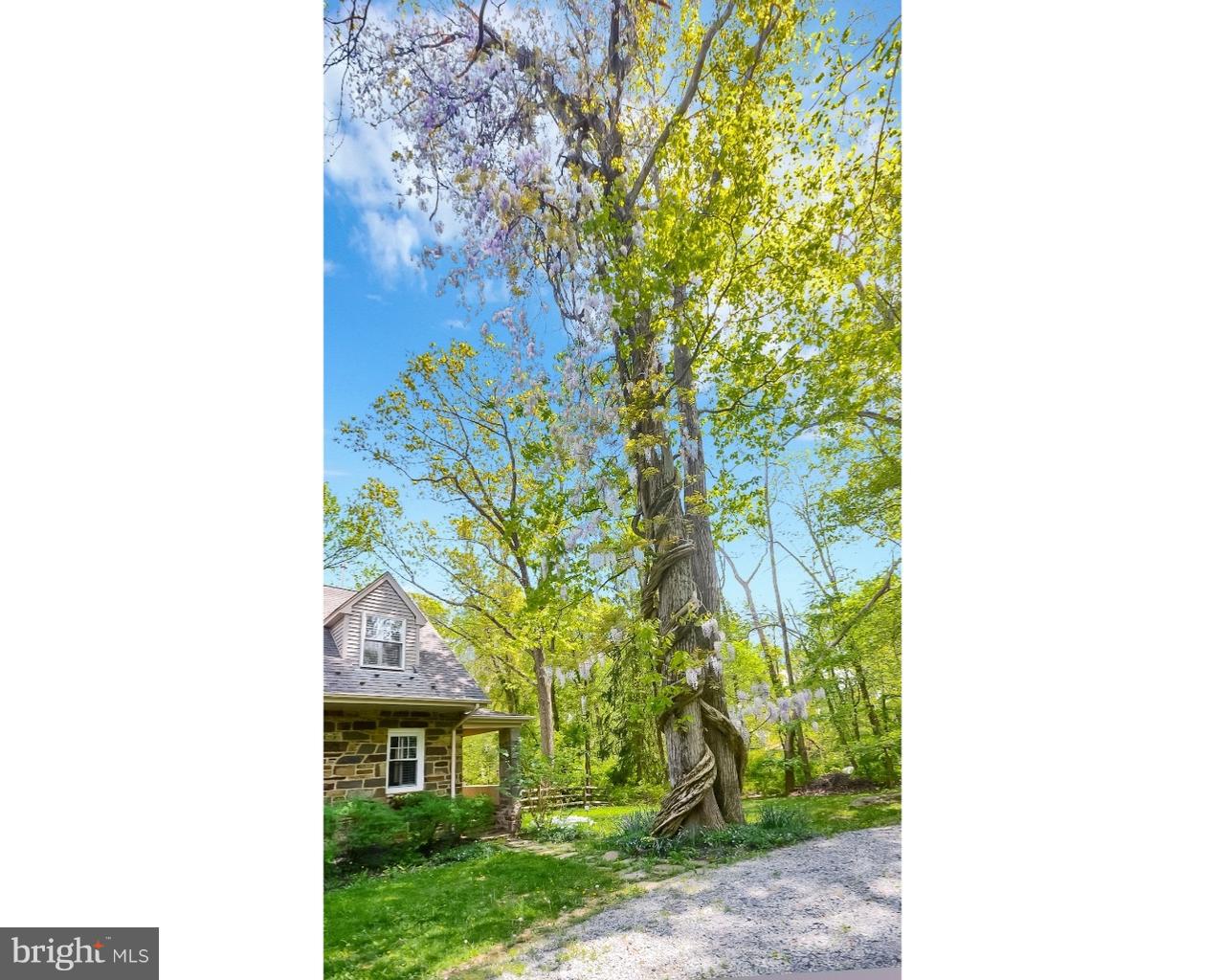387 Mt Lucas Road Princeton, NJ 08540 - Photo 25 of 25 Gallery Image 25